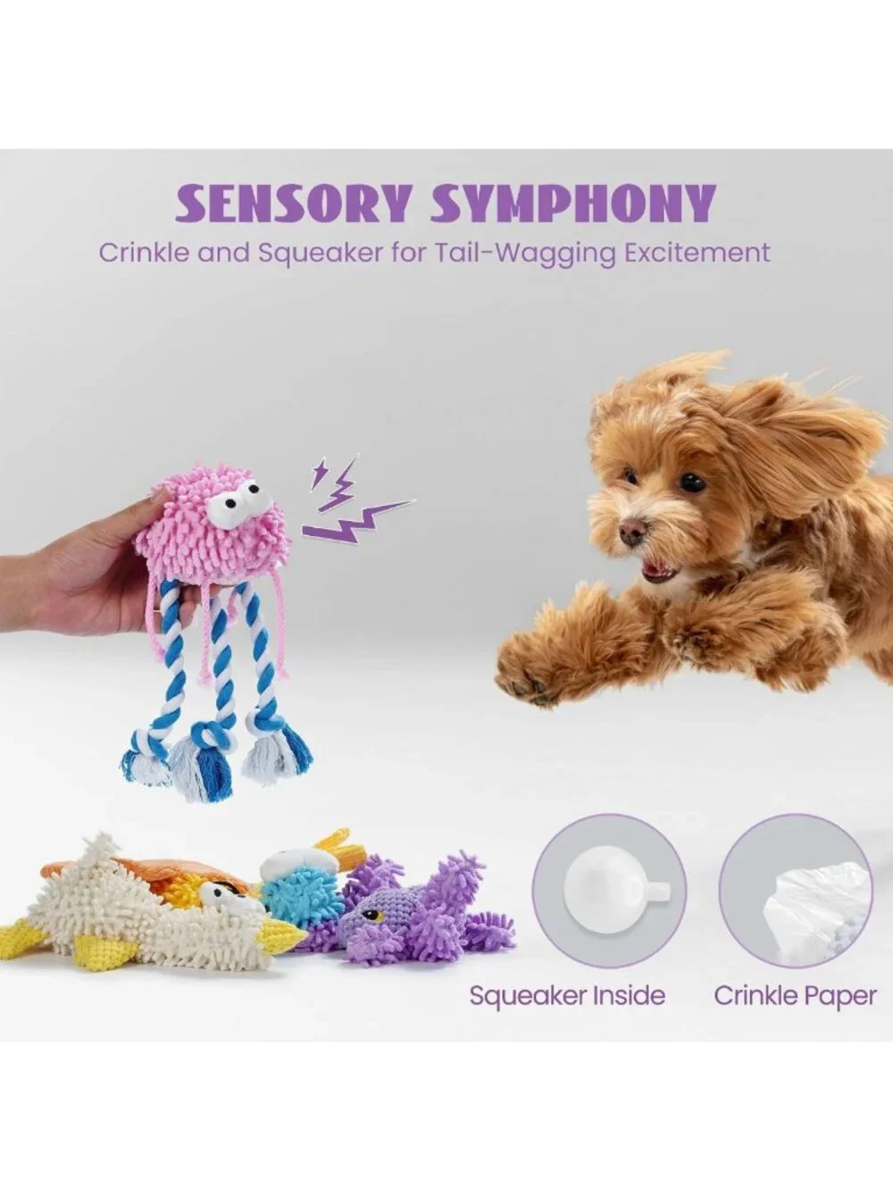 5 Pack Plush Squeaky Dog Toys - Soft Crinkle Chew Toys for Small & Medium Breeds
